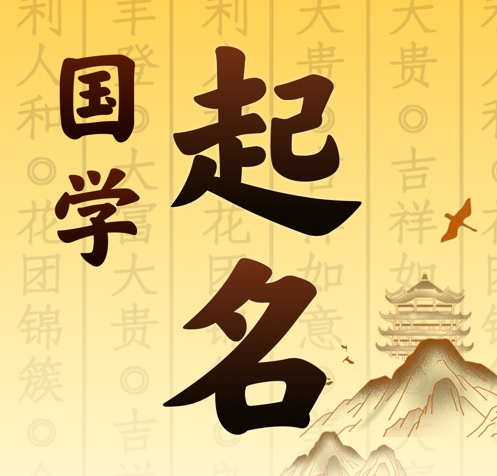 苍溪国学起名 人工起名一对一